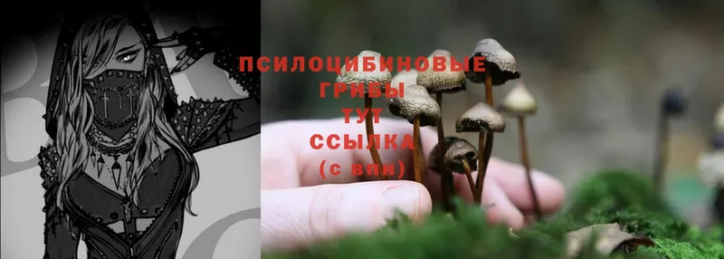 наркошоп  Белогорск  Галлюциногенные грибы MAGIC MUSHROOMS 